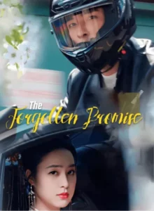 The Forgotten Promise - Poster Seri DramaFren